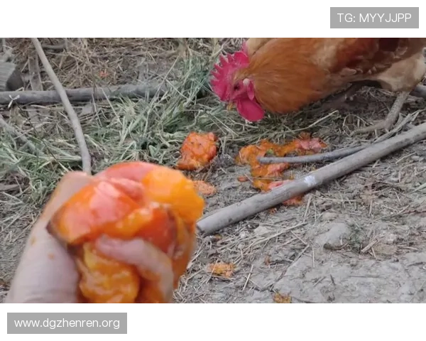 柿子拣软的捏洛杉矶骚乱中无人车成最惨靶子被围攻损毁频发引热议