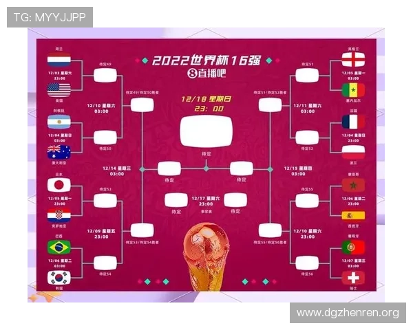 世界杯投注攻略：如何分析球队实力与赛事数据，提升投注成功率